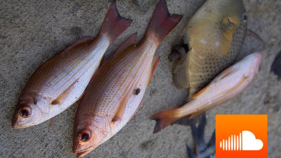 PODCAST: World Bank Group Outlines Plan to End Hunger